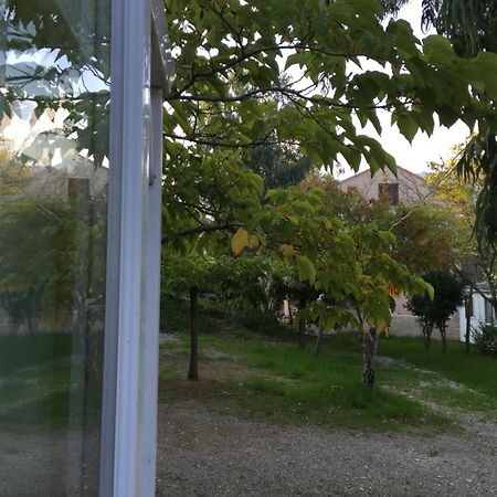 Camping Les Orangers San-Martino-di-Lota Værelse billede