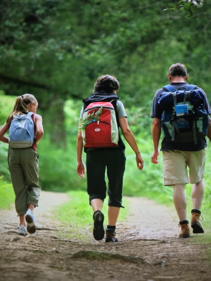 Camping Les Orangers San-Martino-di-Lota Eksteriør billede
